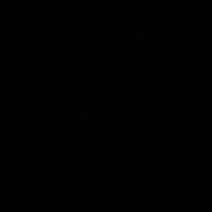 Meet your Posher, Mallory